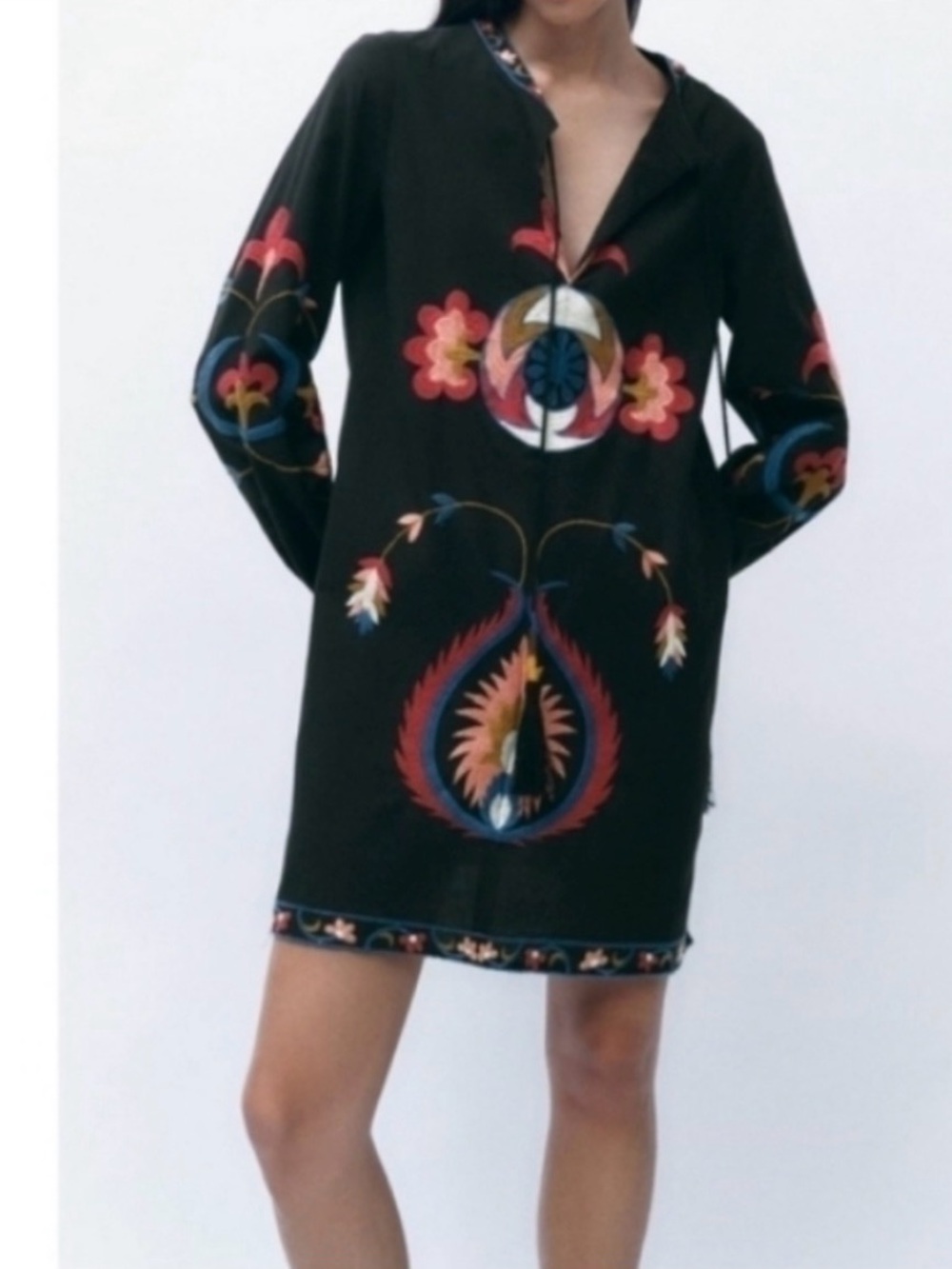 Zara Black Mini Dress with Multicolor Embroidered